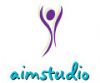Alison Irene Meyer - AIMSTUDIO